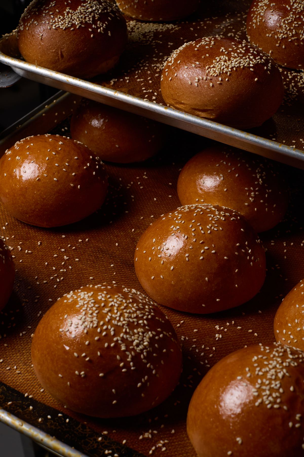 Close-up of glossy sesame seed burger buns